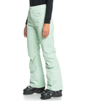 Women's Diversion Snow Pants